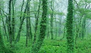 A környezetért – tudatosan